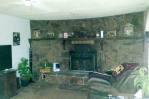 Living Room Remodel - before